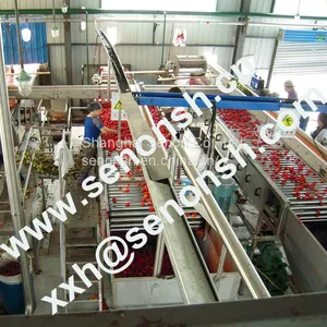 Tomato Paste Production Line thumbnail-4