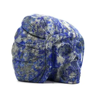 Indian Skull thumbnail-3