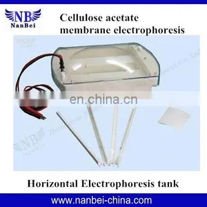 Horizontal Cellulose Acetate Membrane Serum Electrophoresis thumbnail-2