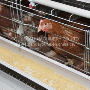 Battery Cage for Chicken Poultry Cage thumbnail-3