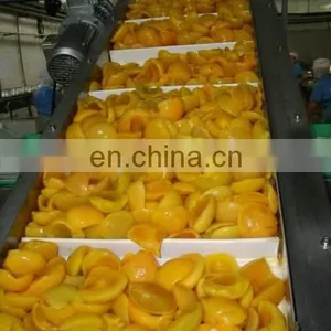 Factory Genyond Fruit Pineapple Tomato Peach Canning Sealing Machine Canned Fruits Processing Plant Production Line Price thumbnail-5