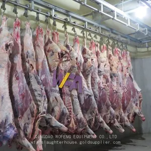 Professional Manufacture Butchery Equipment Machine For Cattle Slaughter Line thumbnail-3