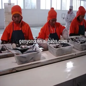 Commercial Canned Sardine in Tomato Sauce Processing Line thumbnail-2