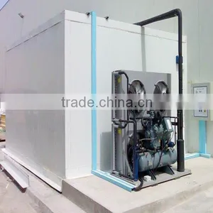 Small Cold Room for Family Keep Apple Fresh thumbnail-4