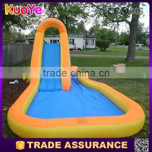 Outdoor Amusing Inflatable Water Slide Used With Pool thumbnail-1