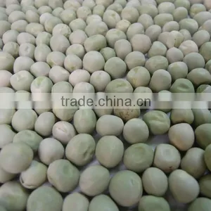 Green Peas Dried US Origin thumbnail-3