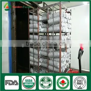 China Wholesale Supplier Fresh Organic Green Shiitake Mushroom Growing Log Kit thumbnail-5