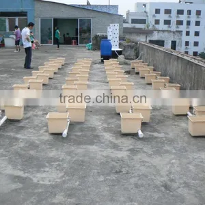 Commercial Duch Buckets for Tomatoes thumbnail-6
