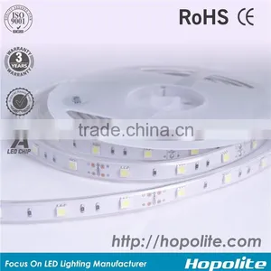 7DAYS' LEAD TIME FOR Red/Green/Blue SMD5050 DC12V/DC24V 60LED/M LED STRIP LIGHT thumbnail-1