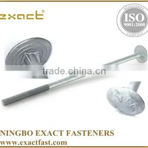 Manufacturer Supply Carbon Steel A307 Standard Grade 2 Hot Dipped Galvanized Timber Bolt/round Head Mushroom Bolt thumbnail-2
