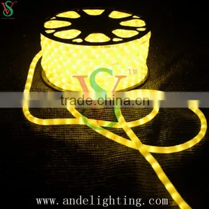 New Products 2016 Round 2 Wire Rope Lights/ Led Neon Flex Rope Lights thumbnail-5