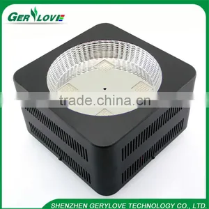 Ip 44 Led Grow Light Panel Grow Led Light Full Spectrum Cob 300watt Led Plant Growth Lights Best Heating Lamps for Greenhouses thumbnail-3