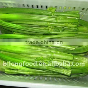 Fresh Celery (chinese) thumbnail-1