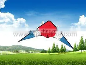 Dual Line Delta Stunt Kites - Straight Edge Kites thumbnail-1