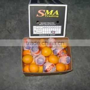 FRESH ORANGE thumbnail-1