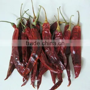Red Chilli 334 With Stem thumbnail-3