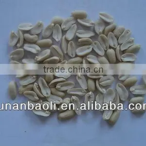 Chinese Blanched Peanuts thumbnail-1