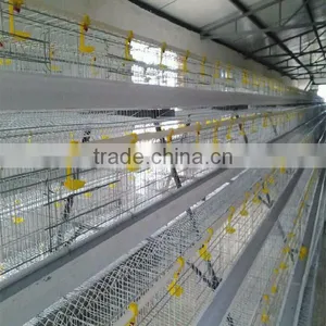 504 Hot-sale Automatic Poultry Water Nipple Drinker For Broiler Chicken Breeder thumbnail-6