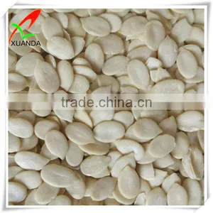 Water Melon Seed Kernels thumbnail-1