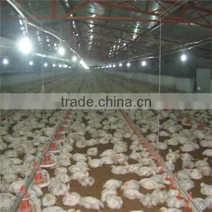 Environmental Control Poultry House Automatic Farm Machinery Equipment Broiler Feeding System For Breeding Chickens thumbnail-3