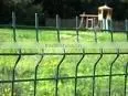 Euro Fence thumbnail-1