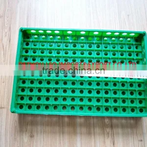 China Best Selling Plastic Egg Crate Tray for Quail Eggs Delivery thumbnail-3