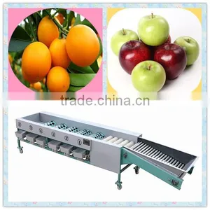 High Efficiency Automatic Garlic Grading/Sorting/Choosing Machine(SMS:0086-15903675071) thumbnail-1