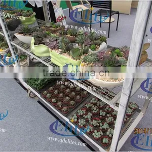 154 Seedling Car Seedling Mesh Cart Seedling Plant Trolleys thumbnail-6
