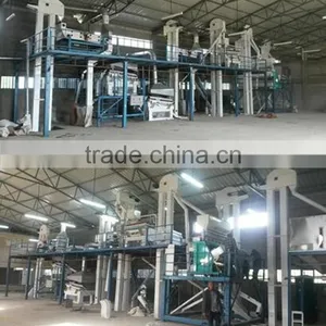 Fully Automatic-- 5 TPH Lentil Plant in Iraq thumbnail-4