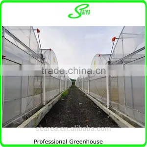 Multi Span Vegetable Greenhouse for Sale thumbnail-2