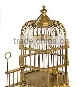 Bird Nest thumbnail-1