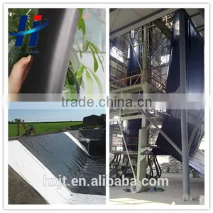Best Price Geomembrane Containment Liners for Water Slope Protection/HDPE Geomembrane Sheet thumbnail-4