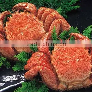 Frozen/Fresh Hairy Crab From Hokkaido/Russia thumbnail-1
