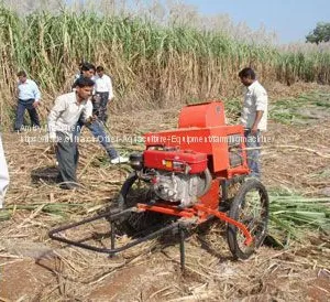 Sugarcane Leaf Remover thumbnail-2