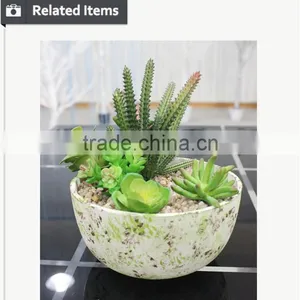 Artificial Succulents Wholesale Bonsai Potted Small Plant Table Artificial Preserved Plant thumbnail-4