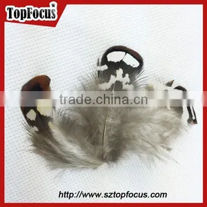 Hot Sale Dyed Wholesale Natural Cheap Artificial Pheasant Feathers Prices thumbnail-1