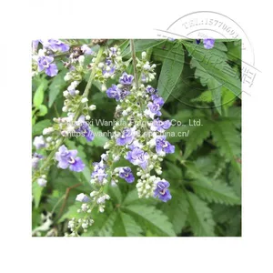 Wholesale of High Quality Jing Oil thumbnail-2