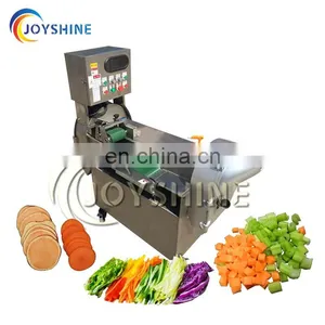 SUS304 Stainless Steel Electric Coconut Cutting Machine Processing Machinery Grater thumbnail-3