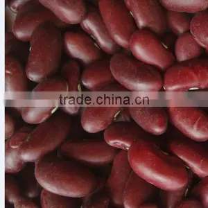 Red Kidney Beans thumbnail-1