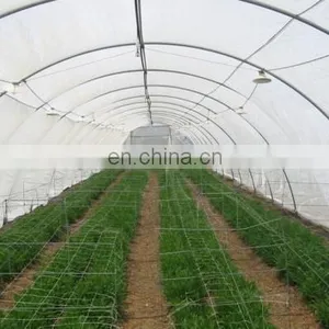 Manufacture 50 Mesh 130gsm Anti Insect Net With UV for Outdoor Agricultural Greenhouses thumbnail-1