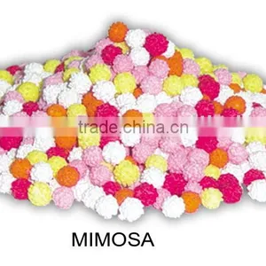 Sprinko (Mimosa) thumbnail-1