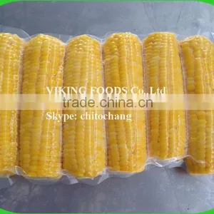 FROZEN BOILED CORN GOOD QUALITY FROM VIETNAM thumbnail-1