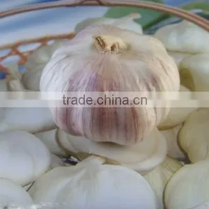 New Crop Normal White Garlic ---Garlic Factory /High Quality thumbnail-3