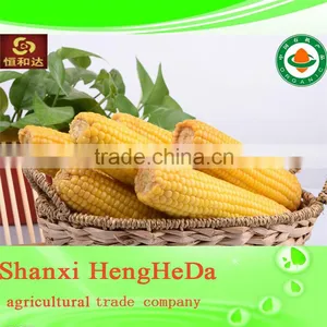 2014 Hot Selling Dried Corn for Sale thumbnail-2