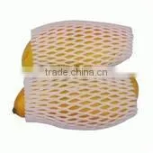 Foam Net Fruit Package for Hami Melon thumbnail-1