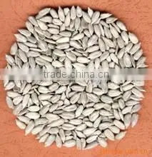 Confectionery Grade Sunflower Kernels thumbnail-2