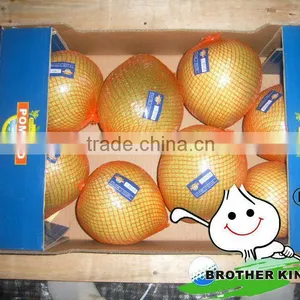 Fresh Pomelo in Grapefruit,size 10-30cm Pomelo thumbnail-1