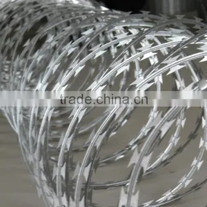 Hot Sell Razor Wire of Concertina thumbnail-5