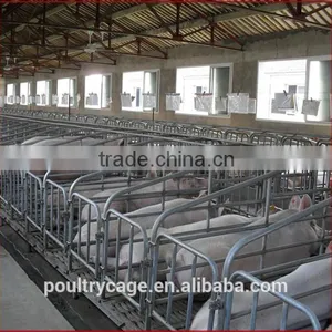Wholesale Pig Farrowing Crates/Farrowing Crates For Pigs/Farrowing Crate For Sale thumbnail-5