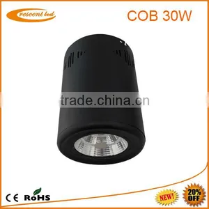 High Power Smd/cob Led Ceiling Light/ Cob Led Downlight 30w thumbnail-1